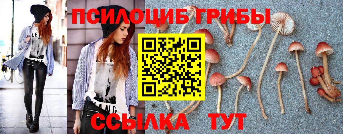 Куйбышев  Галлюциногенные грибы Psilocybine cubensis  Вход с VPN  Галлюциногенные грибы Magic Shrooms 